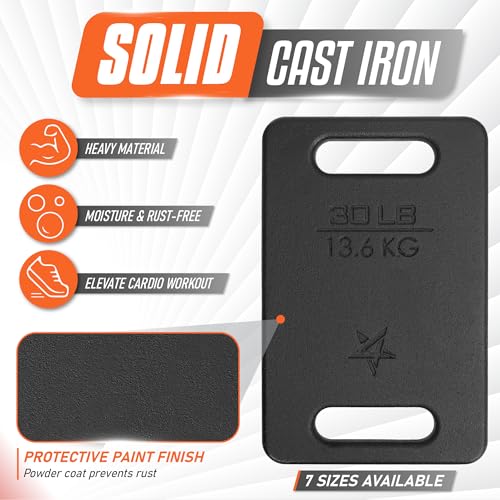 Yes4All Cast Iron Rucking Weight for Backpack, Training Weight Plate with Ergonomic Rounded Handle, Protective Glossy Finish for Weighted Walking, Hiking, Rucking, Resistance Workout - style: E. 30LB