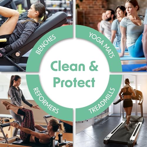 Wipex Natural Wipes for Fitness in Lemongrass & Eucalyptus, Gyms, Yoga, Peloton Cycles, Treadmills and Home, 75 Count (Pack of 4) - size: 75 Count (Pack of 4)