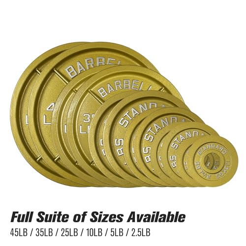 Gold Finish Olympic Steel Plates - Pairs and Sets 2 Inch Barbell Standard in Premium Gold for Weight Lifting - color: 25lb Pair