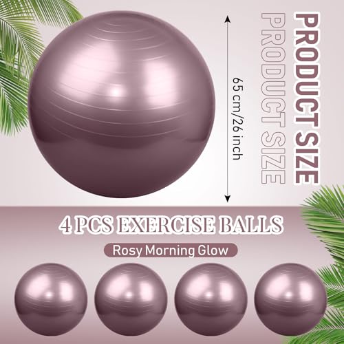 Leyndo 4 Pcs 26 Inch Yoga Exercise Ball Pilates Pregnancy Birthing Fitness Ball with Quick Pump Anti Burst for Improved Posture, Balance, Yoga, Pilates, Training - color: Rose Color