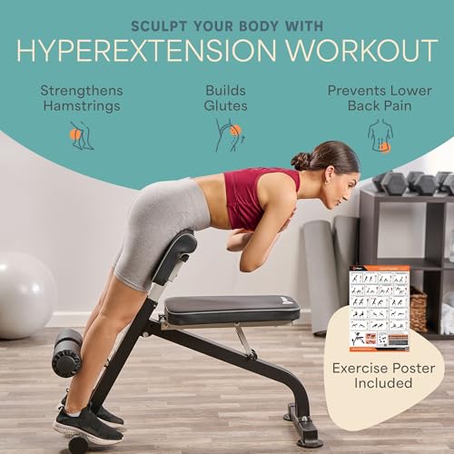 Lifepro SculptTrainer Roman Chair – 20+ Exercises, Foldable, 330 lb Cap | Hyperextension, hip thrusts, sit-ups & back extensions, 10 height positions, padded seat + dual rollers, alloy steel - color: Charcoal Gray, size: Large