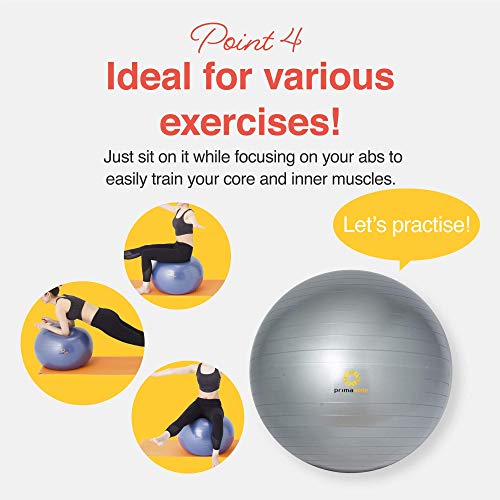 Primasole Exercise Ball for Balance Stability Fitness Workout Yoga Pilates at Home Office & Gym Birthing Ball for Pregnancy, Office Ball Chair - color: Silver Gray, size: 65 cm