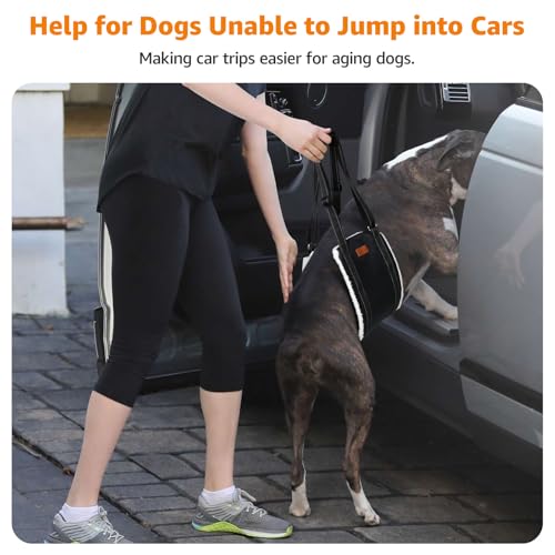 LOOBANI Portable Dog Sling for Back Legs, Hip Support Harness to Help Lift Dogs Rear for Canine Aid and Old K9 Cruciate Ligament Rehabilitation - color: Black, size: X-Large