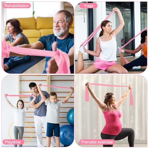 DEEKIN 10 Pcs Resistance Bands Professional Exercise Elastic Bands Latex-Free Yoga Starter Set for Pilates, Physical Therapy, Strength Training, Yoga, Working Out for Women Home Gym - color: Pink, style: 15 Lbs