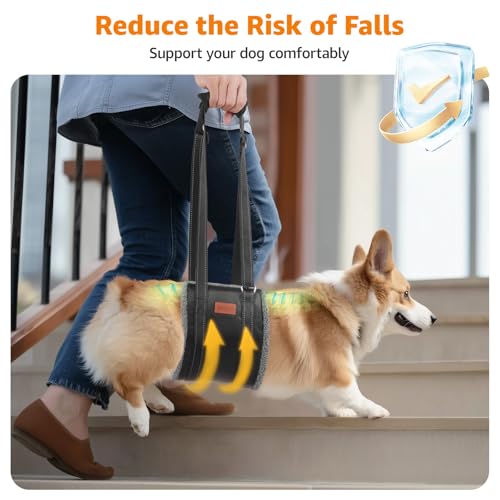 LOOBANI Portable Dog Sling for Back Legs, Hip Support Harness to Help Lift Dogs Rear for Canine Aid and Old K9 Cruciate Ligament Rehabilitation - color: Grey&Black, size: Medium