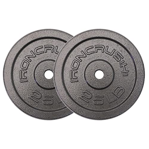 Standard 1 inch Cast Iron Weight plates - Superior Hammertone Finish, Wider Range 1.25-50 lbs Weights. Ideal for Dumbbell Handles, 1in Barbells, Adjustable Kettlebell Handles - Sold in Pairs - color: 25lb (Set of 2)