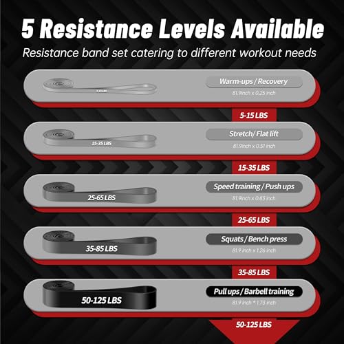 Pull Up Assistance Bands, 5-Level Resistance Bands for Working Out, Pull Up Bands for Men & Women, Exercise Bands for Full-Body Training, Fitness, Physical Therapy, Stretch Workout Bands at Home, Gym - color: Gray Gradient