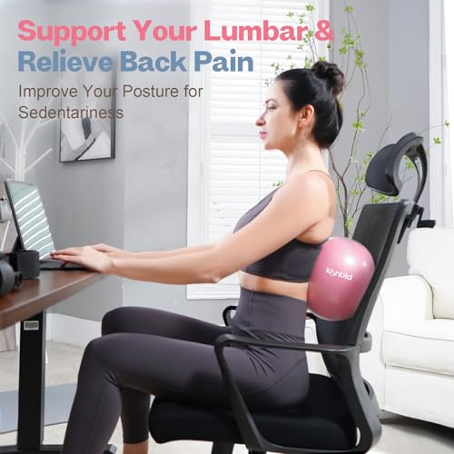 kisnbld Small Exercise Ball, 9 Inch Mini Pilates Ball, Anti Burst and Slip Resistant Mini Yoga Ball for Stability, Fitness, Physical Therapy, Stretching & Core Strength Workout at Home Gym & Office - color: 2Misty Rose