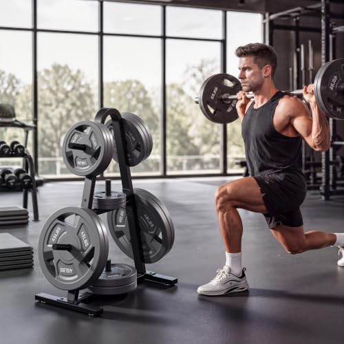 Weight Rack for Home Gym, 400 LB Weight Tree - size: for Standard Weight Plate