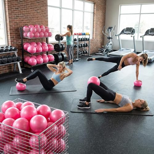 40 Pcs Small Exercise Pilates Ball Bulk 9 Inch Mini Yoga Balls Anti Burst and Slip for Stability Fitness Physical Therapy Stretching & Core Workout at Home Gym Office Class - color: Solid Pink