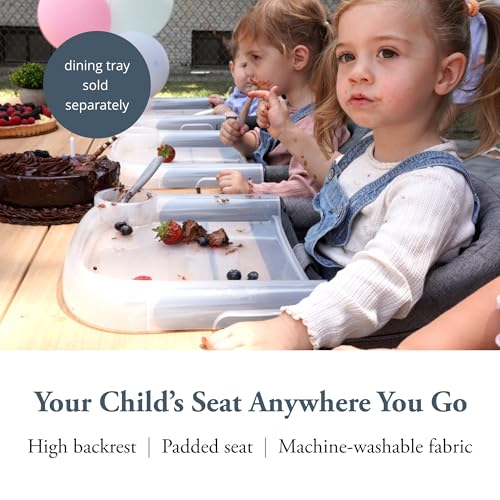 Inglesina Fast Table Chair, Stone Gray Melange - Portable Baby High Chair - for Babies & Toddlers up to 37 lbs - Fits Tables 0.8'' to 3.5'' Thick - Compact & Easy to Use - Travel Bag Included - color: Stone Gray Melange, style: Chair
