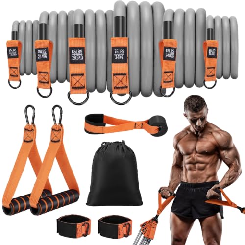 Resistance Bands with Handles, 300 LBS Heavy Duty Exercise Bands for Working Out, Fitness Bands with Door Anchor & Ankle Straps for Men & Women's Heavy Resistance Training, Yoga, Physical Therapy