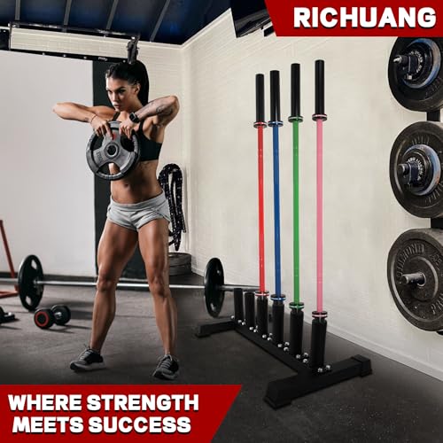 6-Bar Holder 2" Olympic Rack, Floor Stand for Home Gym | Holds Olympic, curl, trap, axle bars. Protective sleeves. 24 lbs. No wall mount. Easy assembly, fits small spaces.
