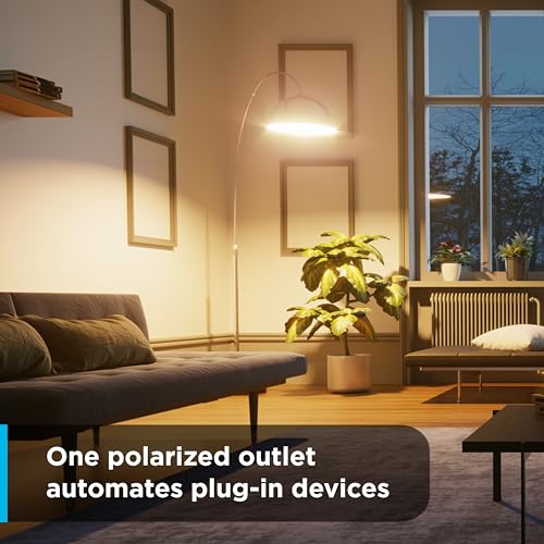 GE 24‑Hour Mechanical Outlet Timer Switch, Single Polarized Plug‑in Control for Indoor Lighting, Lamps, Christmas Trees and Seasonal Decor (1 Pack), 15119 - size: 1 Pack