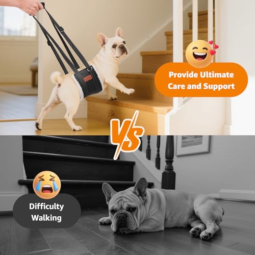 LOOBANI Portable Dog Sling for Back Legs, Hip Support Harness to Help Lift Dogs Rear for Canine Aid and Old K9 Cruciate Ligament Rehabilitation - color: Black, size: Small