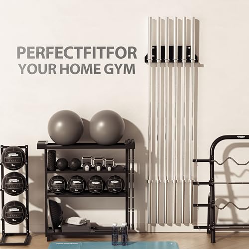 Fitvids Wall Mount Vertical Barbell Hanger Olympic Barbell Holder
