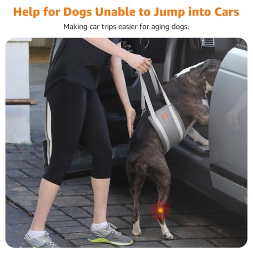 LOOBANI Dog Sling for Large Dogs Hind Leg Support, Portable Dog Lift Harness for Back Legs, Comfortable Leg Support Assistance for Elderly Dogs with Hip, ACL Brace, Senior, Injured - color: Grey&Grey, size: X-Large