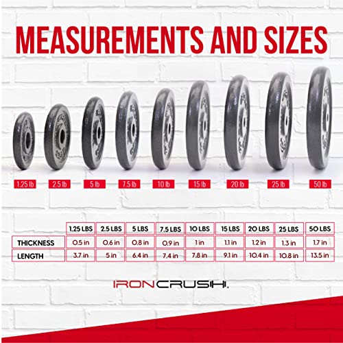 Standard 1 inch Cast Iron Weight plates - Superior Hammertone Finish, Wider Range 1.25-50 lbs Weights. Ideal for Dumbbell Handles, 1in Barbells, Adjustable Kettlebell Handles - Sold in Pairs - color: 20lb (Set of 2)