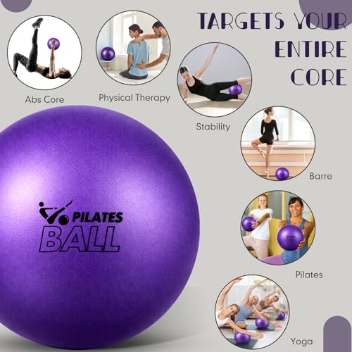 Set of 25 Pilates Balls Bulk 9 Inch Small Exercise Ball for Yoga, Stability, Physical Therapy, Balance, Barre, ABS Core, Gym, Training, with Mesh Bag and Pump - color: Purple
