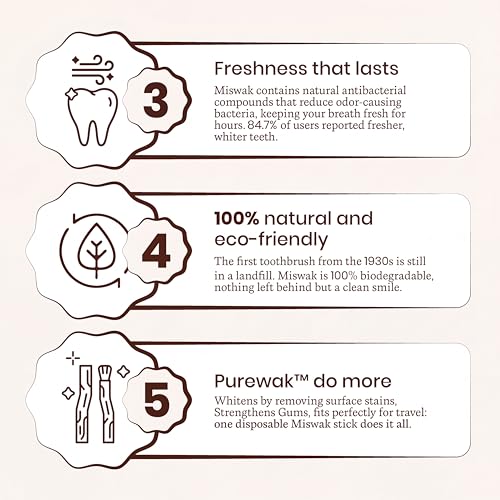 Miswak Sticks, 100% Natural Miswak, Traditional Tooth Cleaning Sticks - 3 Months Supply, 1 Pack, 12 Miswak Sticks with Holder.