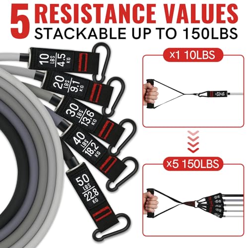 Aihoye Resistance Bands for Working Out, Exercise Bands with Handles, Stretch Bands for Exercise, Workout Bands with Door Anchors for Physical Therapy & Strength Training - color: 10-150LB Set (12Pcs) Black Gradient