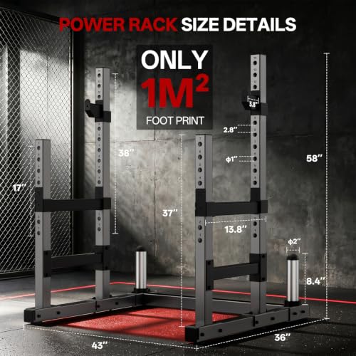 PASYOU Adjustable Squat Power Rack for Home Gym | Adjustable Free Weight Racks, Dual Steel Frame, Push-up Handles, with Dumbbell Storage, Heavy Strength Training for Home Gym - color: Silver