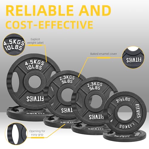 Fitvids Standard Cast Iron 1-Inch Weight Plates for Strength Training & Weightlifting, 35LB/70LB/120LB - style: Set (120LB: 2.5/5/10LB X4+25LB X2)