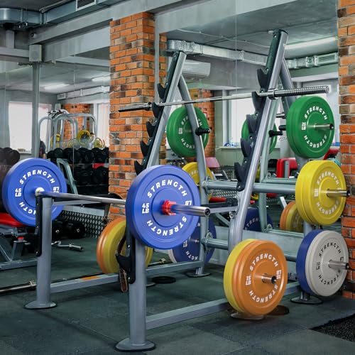 Rendpas Premium Color-Coded Rubber Bumper Plates Set - 2 Inch Olympic Weight Plates for Home Gym Cross and Strength Training - color: 100LB Set