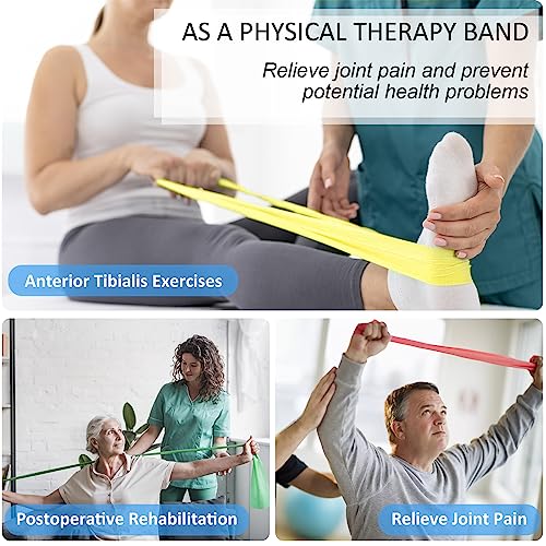 Resistance Bands for Physical Therapy, Bands for Working Out, Latex Free Elastic and Exercise Bands Set for Stretching, Suitable for Rehab, Yoga, Pilates, Gym, Home Exercise - color: 10-pcs resistance set