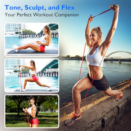 FitBeast Resistance Bands Set, Pull Up Assist Bands for Strength Training, Pilates, Yoga, Powerlifting, Stretching, Mobility Exercises, Muscle Toning, Full Body Workout - color: Rainbow（5-80 lbs)