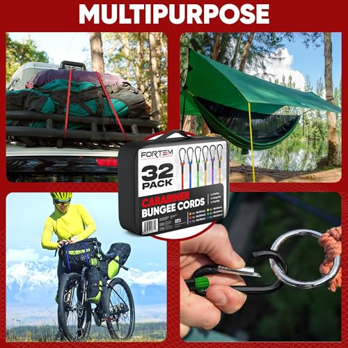 FORTEM Carabiner Bungee Cord Assortment, 32pk Bungee Cords Multi Pack, Includes 18", 24", 30", 36", 48", 60" Bungees and 8" Canopy Tarp Ball Ties, Coated Metal Hooks - size: Pack of 32 Carabiner