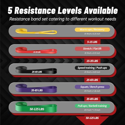 Pull Up Assistance Bands, 5-Level Resistance Bands for Working Out, Pull Up Bands for Men & Women, Exercise Bands for Full-Body Training, Fitness, Physical Therapy, Stretch Workout Bands at Home, Gym - color: Multicolor+Door Anchor