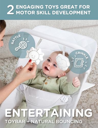 Baby Delight Alpine Deluxe Portable Bouncer | Infant | 0 – 6 Months | Driftwood Grey - color: Driftwood Grey