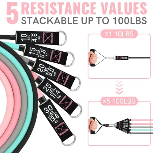 Aihoye Resistance Bands for Working Out, Exercise Bands with Handles, Stretch Bands for Exercise, Workout Bands with Door Anchors for Physical Therapy & Strength Training - color: 10-100LB Set (12Pcs) Makaron
