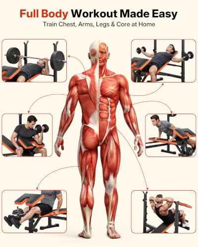 YOLEO Foldable Weight Bench for Small Home Gym, 6-in-1 Adjustable Workout Bench with Squat Rack, Compact Strength Training Equipment for Apartment & Garage Workouts