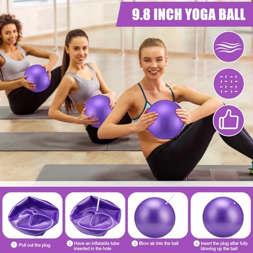 Soulchen 30 Pcs Exercise Pilates Ball 9 Inch with Bags Resistance Bands 25-30 lbs for Working Out Exercise Equipment Set for Yoga Stability Barre Training Stretching Physical Posture Training Gym