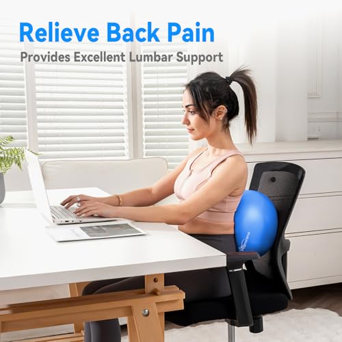 9 Inch Pilates Ball - Small Exercise Ball for Yoga, Barre & Physical Therapy - Anti-Burst Non-Slip Mini Core Ball for Stability, Back Pain Relief & Posture Correction - color: 1Purple