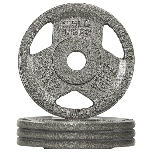 Fitvids 1 Inch Standard Barbell Weight Plates, 2.5 LB to 45 LB Plates for Home Gym Strength Training, Triple-handle Design - style: 2.5LBx 4