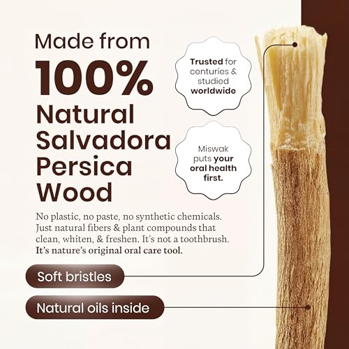 Miswak Sticks, 100% Natural Miswak, Traditional Tooth Cleaning Sticks - 3 Months Supply, 1 Pack, 12 Miswak Sticks with Holder.