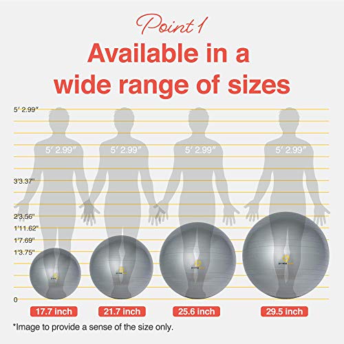 Primasole Exercise Ball for Balance Stability Fitness Workout Yoga Pilates at Home Office & Gym Birthing Ball for Pregnancy, Office Ball Chair - color: Silver Gray, size: 65 cm