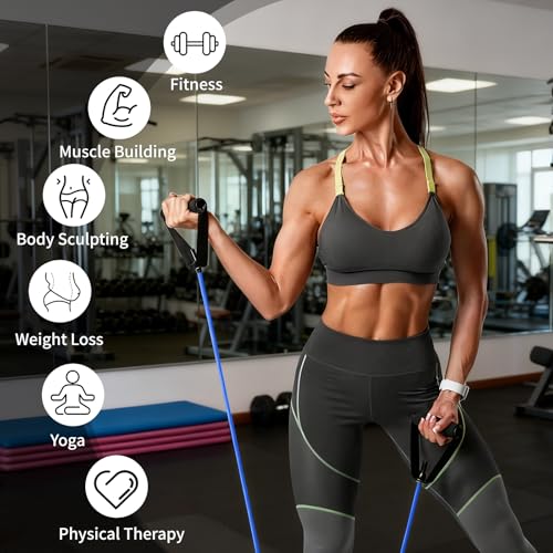 10-Pack Bulk Resistance Bands with Handles, Same Resistance Level, for Resistance Training, Physical Therapy, Home Workouts, Fitness & Pilates - color: Blue 25-30LBS