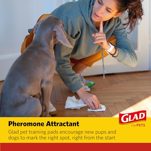 Glad for Pets Day to Night Activated Carbon Puppy Training Pads Odor Control Disposable Dog Pads Adhesive Wall Protection Leak Proof Super Absorbent 30 x 36 Inch 24 Count 2 Pack Indoor Training - color: Giant, size: 30" x 36" - 48 Count