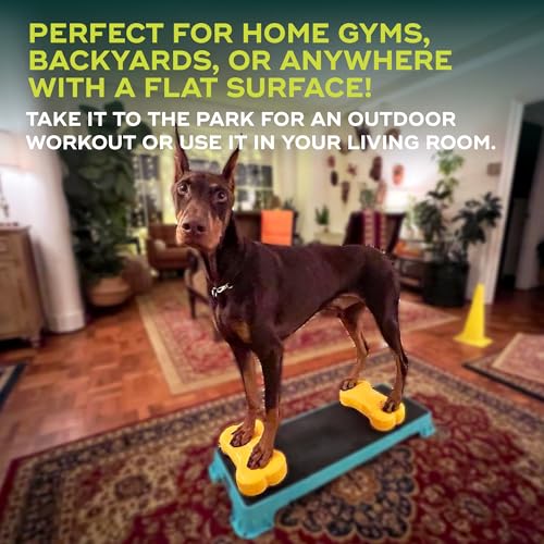 Mini K9fitbone Balance Training Platform (Set of 2) - color: Mango