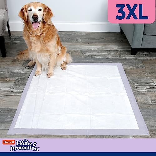 Hartz Home Protection Lavender Scented Dog Pads, 3XL 30 Count, Super Absorbent & Won't Leak, Odor Eliminating (Pack of 2) - size: 3XL 36 x 36 (30 Count) (Pack of 2)