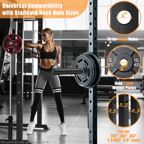 CAELUM Weight Plate Holder Power Rack Attachment, for 2 Inch Olympic Plate Storage, Squat Rack Holder Fits 2"x2", 2"x3", 3"x3" Power Cages - size: 1" hole(4pcs)