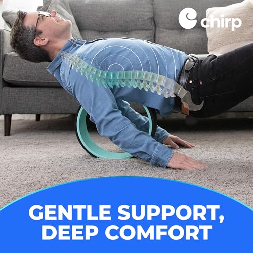 Chirp Wheel+ Foam Roller, Back & Neck Pain Relief, Mint 10-Inch - size: 10" - Medium
