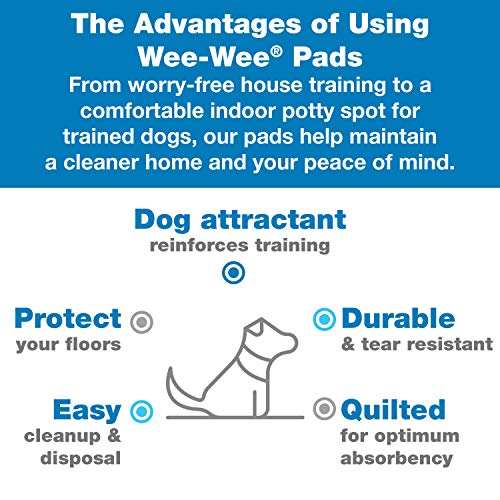 Four Paws Wee-Wee Superior Performance Unscented Pee Pads for Dogs & Puppies, Quilted Leak-Proof Dog Housebreaking Potty Training Floor Protection, 22" x 23", 14 Count - size: 14 Count