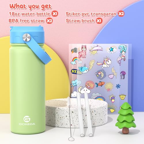 18oz Kids Water Bottle, Insulated Water Bottles with Stickers, 18/8 Stainless Steel Vacuum Leak Proof Straw Cup for School, Gifts for Boys Girls(Blue,Green) - color: Blue Green