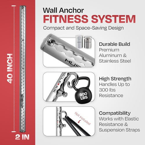 Aluminum Wall-Mounted Anchor Fitness System - Adjustable, Multi-Functional, Space Saving Home Gym Solution for Strength Training, Workout Goals | 100+ Exercises, Easy Installation, 300lbs Capacity - color: Pack of 2 - Silver