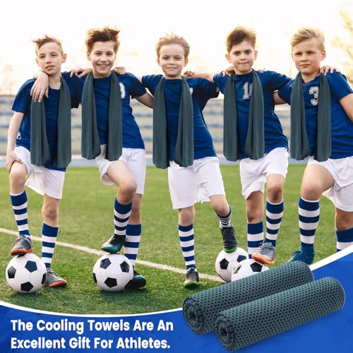 Hosuly 100 Pack Cooling Towels, 40"x12" Cooling Towels for Neck and Face Breathable Soft Chilly Sweat Rag Microfiber Sport Rags for Gym Yoga Golf Running - color: Foggy Blue